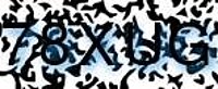 grafischer Sicherheitscode