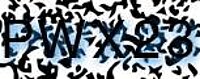 grafischer Sicherheitscode