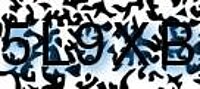 grafischer Sicherheitscode