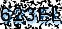 grafischer Sicherheitscode