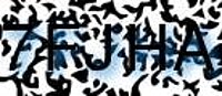 grafischer Sicherheitscode