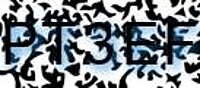 grafischer Sicherheitscode