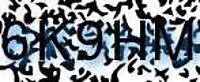 grafischer Sicherheitscode