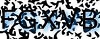 grafischer Sicherheitscode
