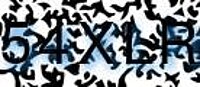grafischer Sicherheitscode