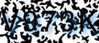 grafischer Sicherheitscode