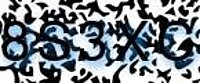 grafischer Sicherheitscode
