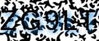 grafischer Sicherheitscode