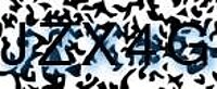 grafischer Sicherheitscode