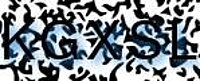 grafischer Sicherheitscode
