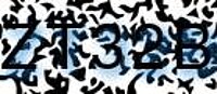 grafischer Sicherheitscode