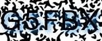 grafischer Sicherheitscode