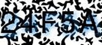 grafischer Sicherheitscode