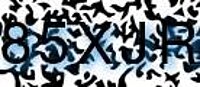 grafischer Sicherheitscode