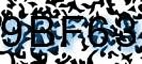 grafischer Sicherheitscode