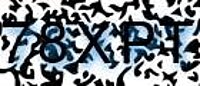 grafischer Sicherheitscode