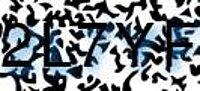 grafischer Sicherheitscode