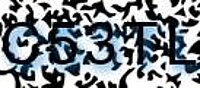 grafischer Sicherheitscode