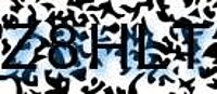 grafischer Sicherheitscode