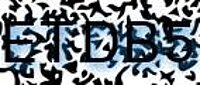 grafischer Sicherheitscode