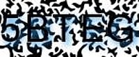 grafischer Sicherheitscode