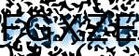 grafischer Sicherheitscode
