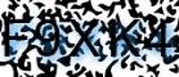 grafischer Sicherheitscode