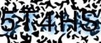 grafischer Sicherheitscode