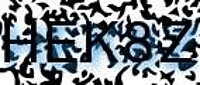 grafischer Sicherheitscode