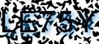 grafischer Sicherheitscode