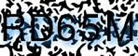 grafischer Sicherheitscode