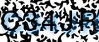 grafischer Sicherheitscode