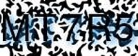 grafischer Sicherheitscode