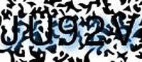 grafischer Sicherheitscode